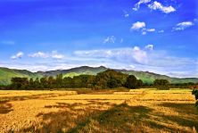 landscape7.jpg